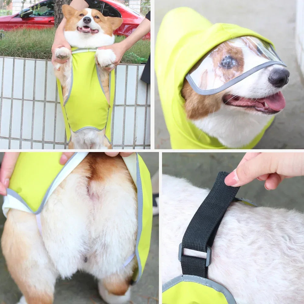 Dog Raincoat