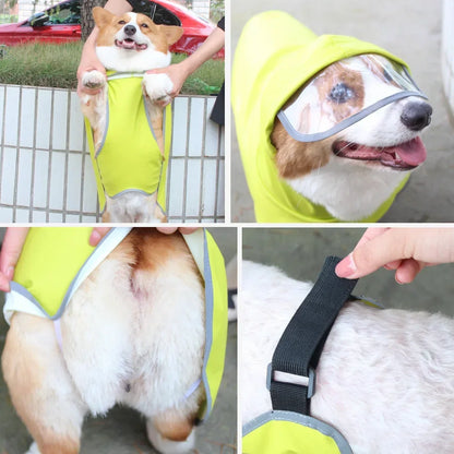 Dog Raincoat