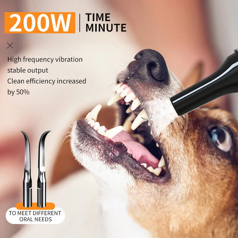 Ultrasonic Portable Electric Dog Toothbrush Professional Plaque