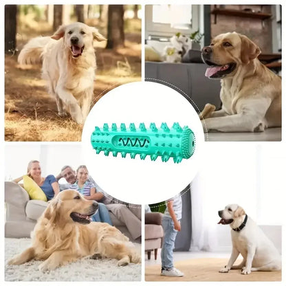 Vet-Approved Dental Chew Stick - 3-in-1 Cooling Toothbrush Toy for