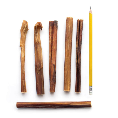 6" Junior Bully Sticks (15-Pack)