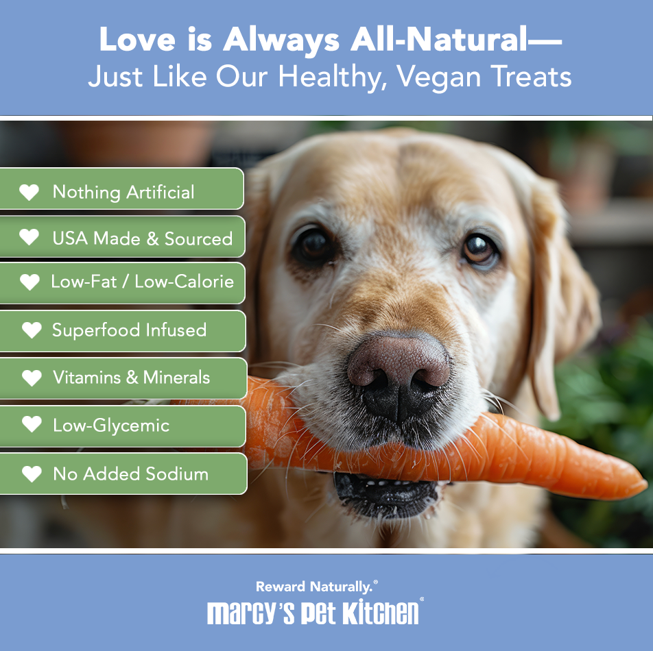 Marcy's Pet Kitchen-Vet Recommend- All Natural-Vegan Homemade,-Gluten Free-Chicken Free-for Sensitive Stomachs-Made in The USA Only