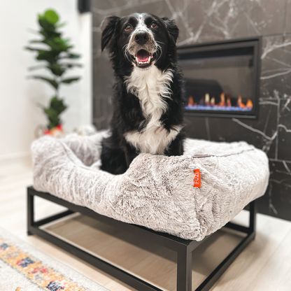 The FÜZI Dog Bed