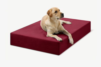 Large 7" Memory Foam Orthopedic Dog Bed
