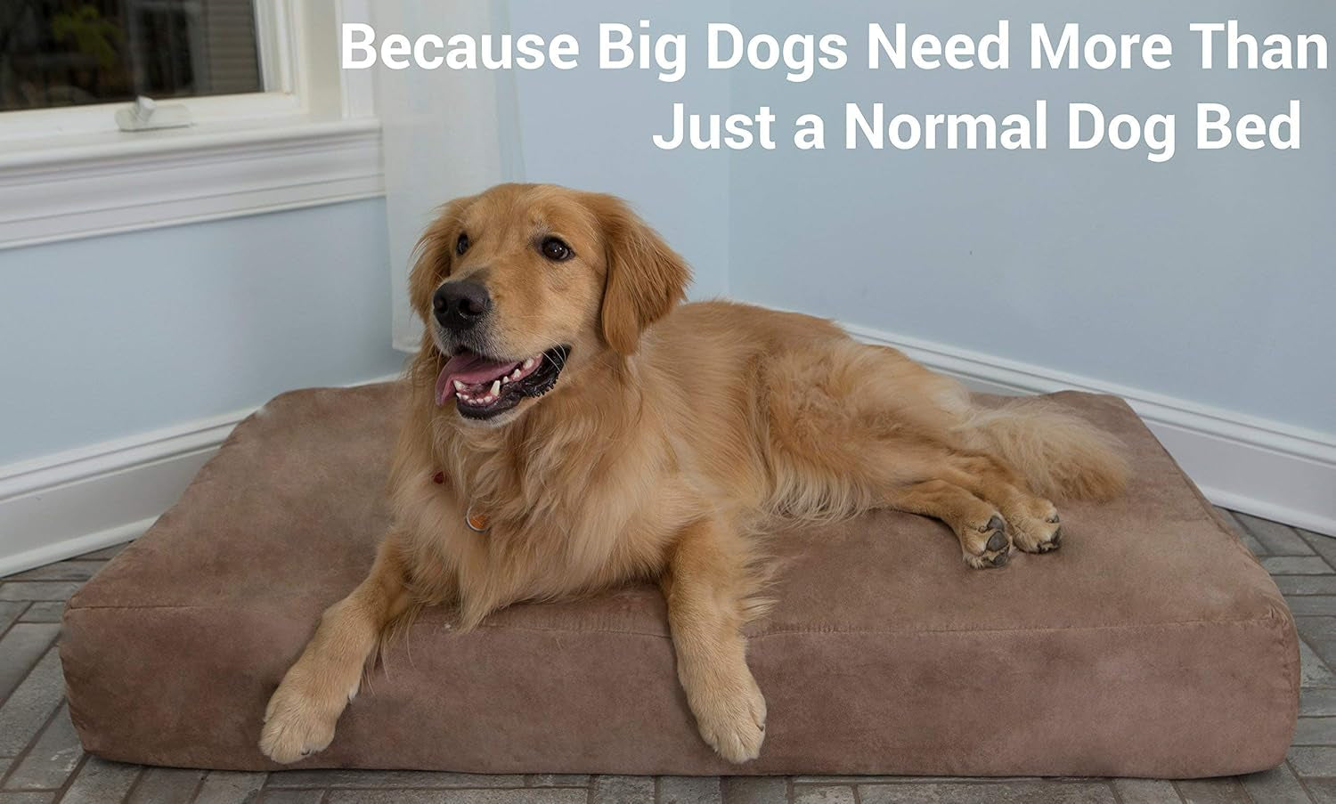  XL 7" Memory Foam Orthopedic Dog Bed