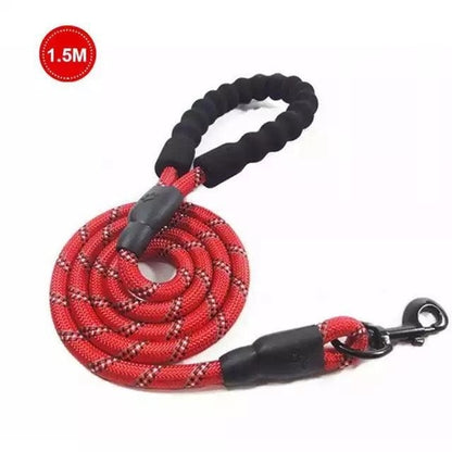 Luminous Reflective Strong Dog Leash