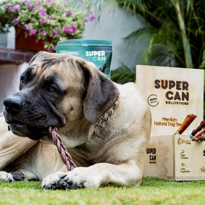 12" Beef Braided Gullet Sticks (4-Pack)