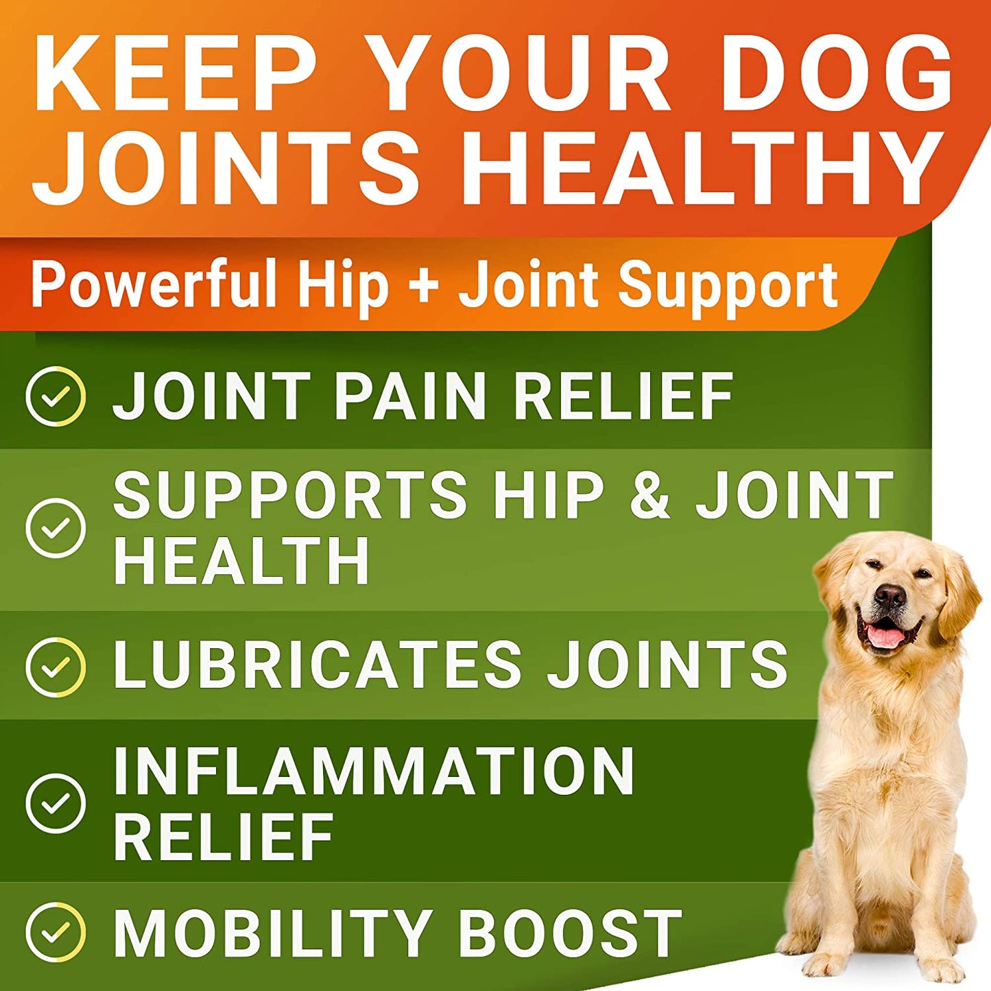 Joint Supplement for Dogs - Made in USA