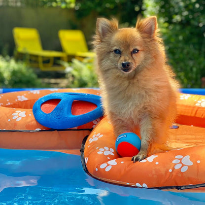 Chuckit! Amphibious Mega Ball Dog Toy