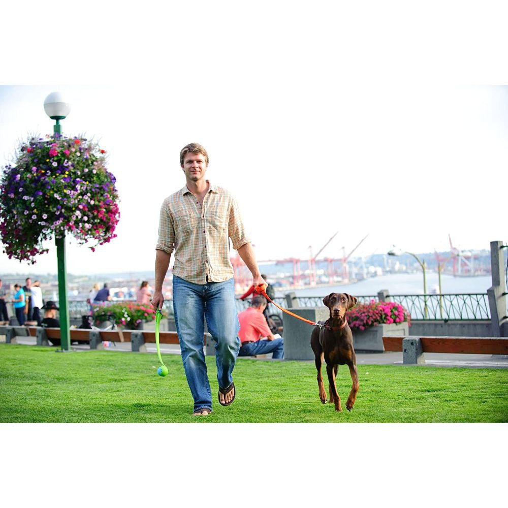 Chuckit! 18M Junior Launcher With Ultra Ball Dog Toy