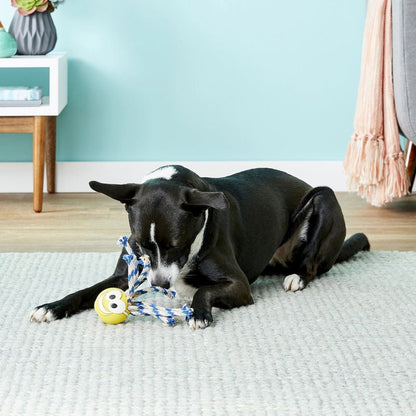 Chuckit! Fanatic Dog Toy