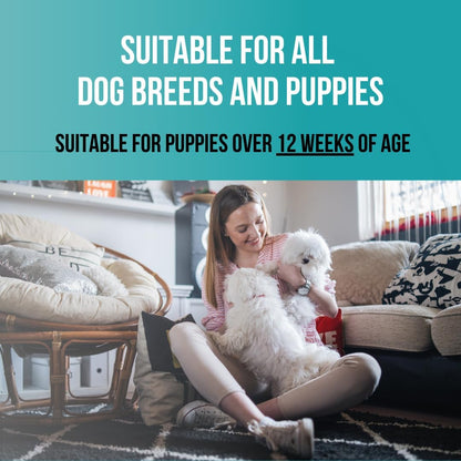 1 Gallon Tearless Puppy Shampoo and Conditioner - Groomers Choice - Made in the USA