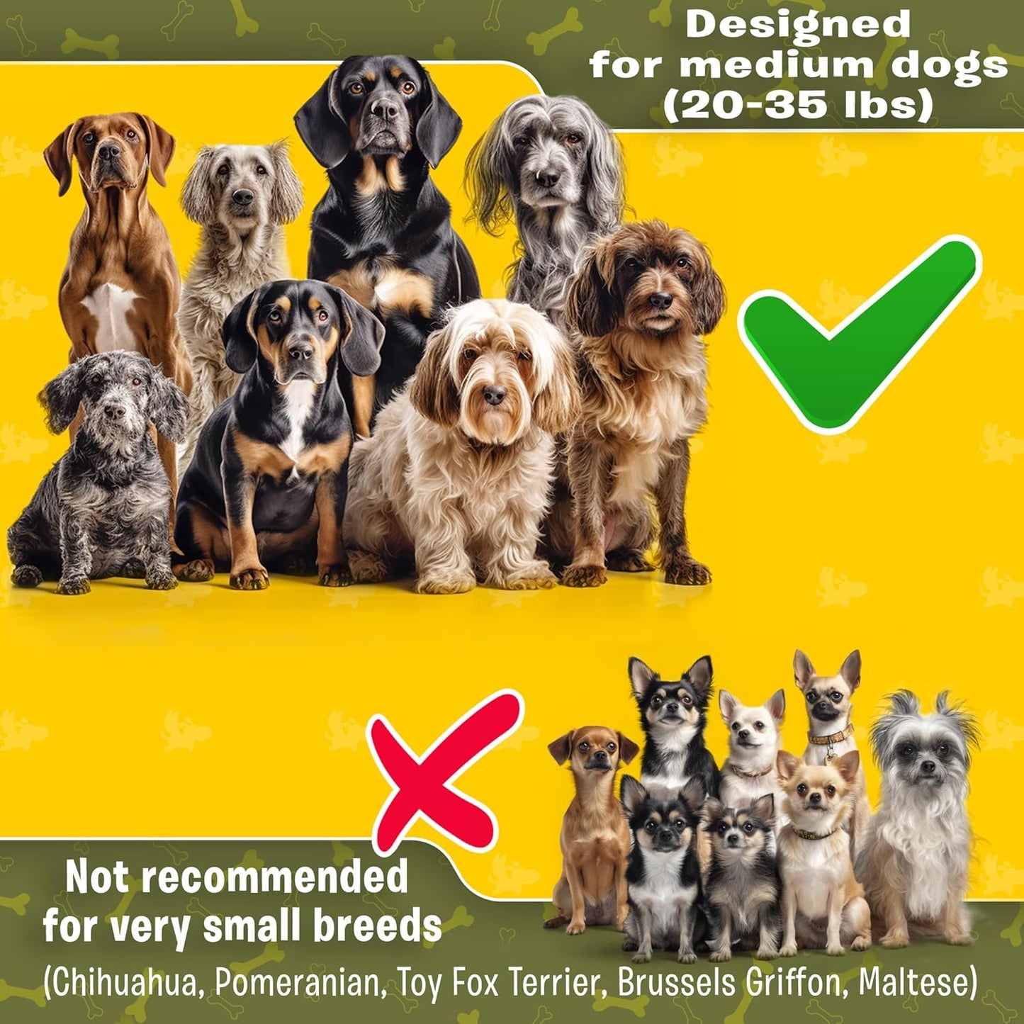 Double No Tangle Swivel Dog Coupler