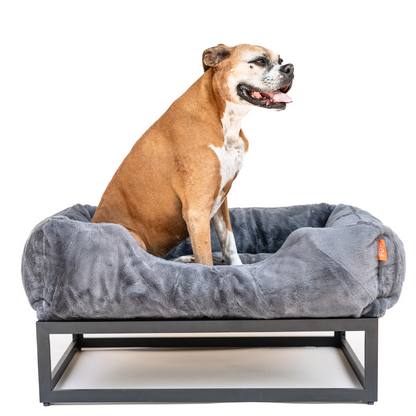 The FÜZI Dog Bed