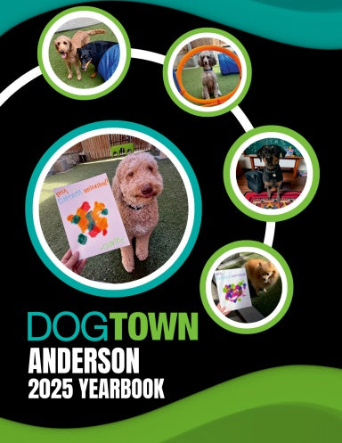 Book Cover Variant Thumbnail