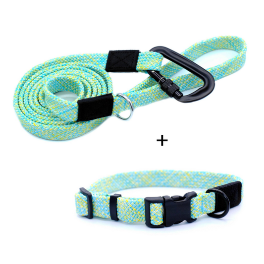 Adventure Style Flat WeaveLeash and Collar Bundle