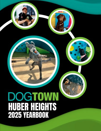 Book Cover Variant Thumbnail