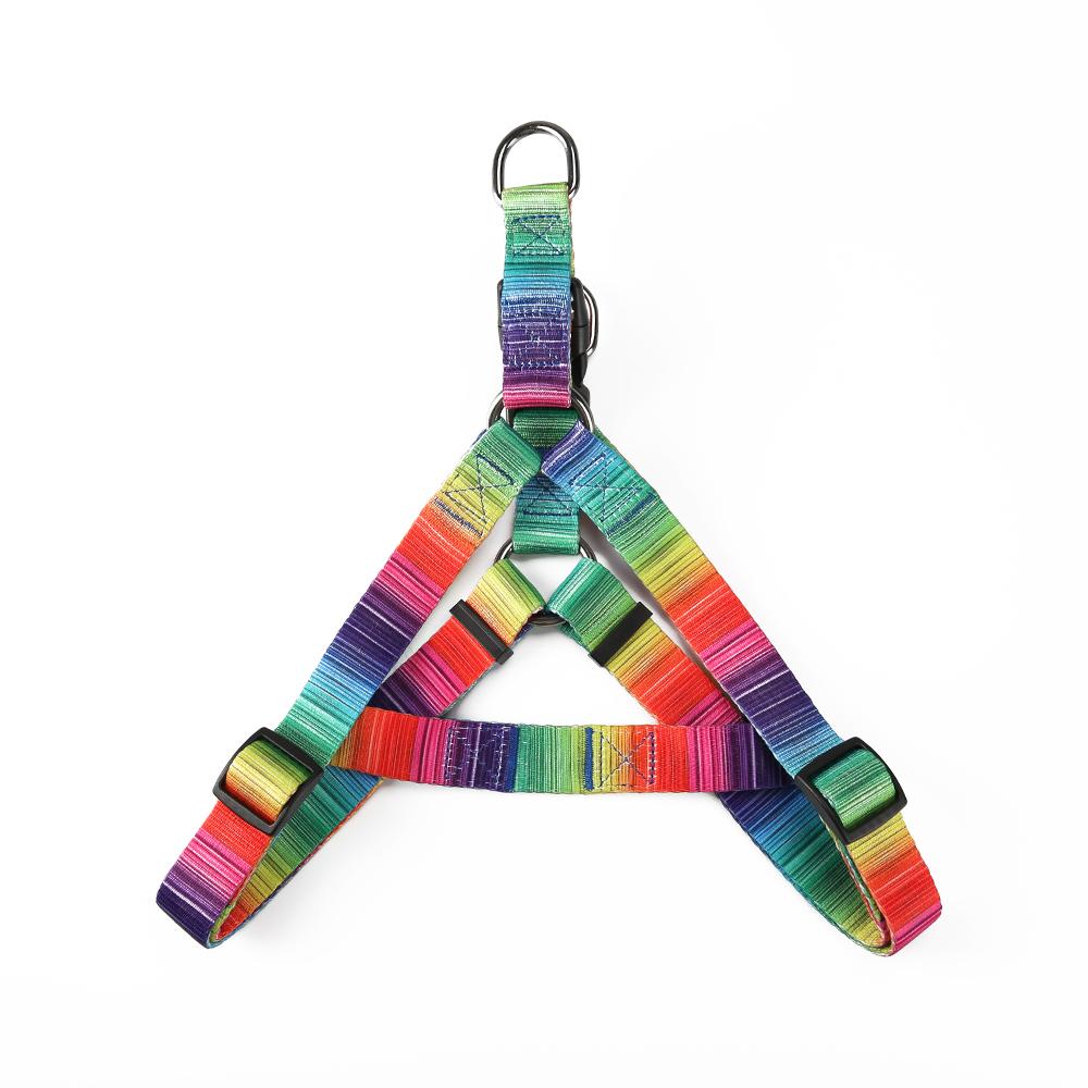 Vibrant Matching Leash & collars Set