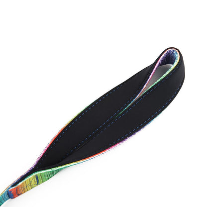 Vibrant Matching Leash & collars Set