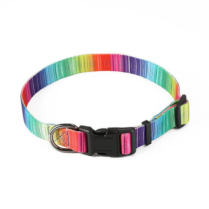 Vibrant Matching Leash & collars Set