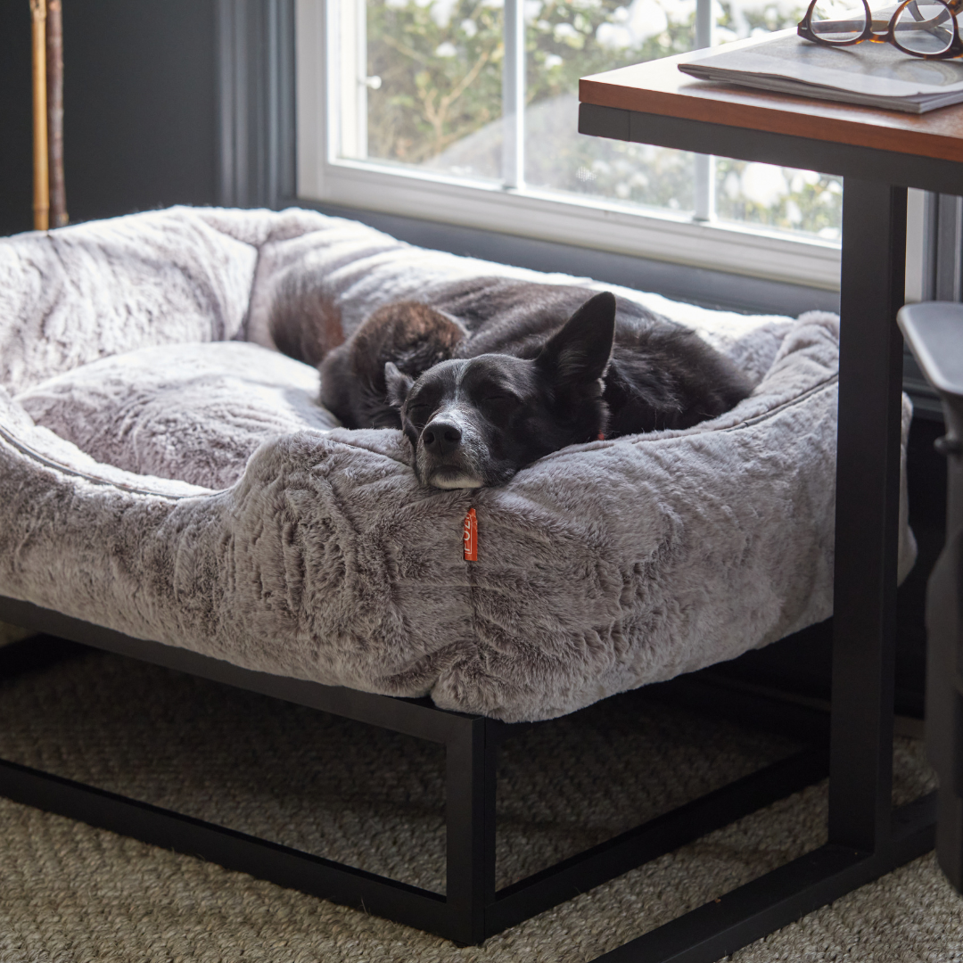 The FÜZI Dog Bed